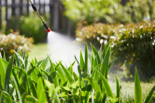 24/7 Emergency Bed Bug Control experts in Moultrie, GA