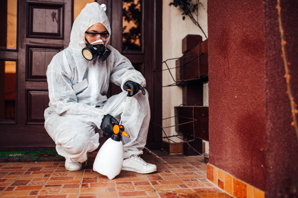 Reliable Bed Bug Control contractor in Moultrie, GA by Nex Pest Control