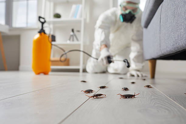Trusted Fumigation Services service in Moultrie, GA - Nex Pest Control